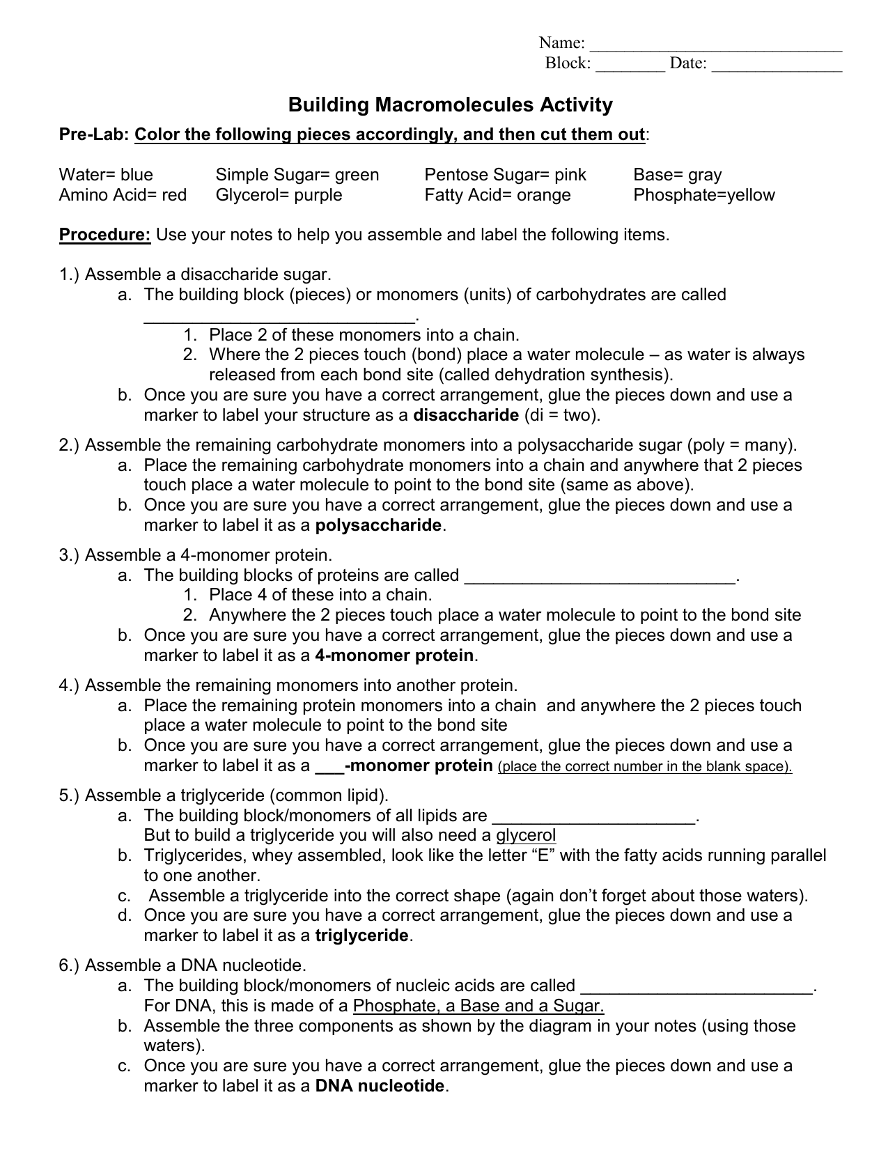 Building Macromolecules Activity With Regard To Building Macromolecules Worksheet Answers