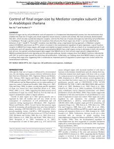 Control of final organ size by Mediator complex