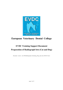 Radiograph Positioning Dog and Cat