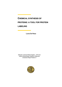 CHEMICAL SYNTHESIS OF PROTEINS : A TOOL FOR PROTEIN