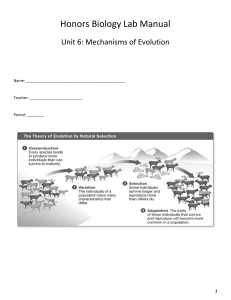 Unit 6 Portfolio