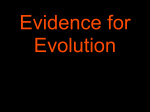 Other Evidence for Evolution (includes living fossils)