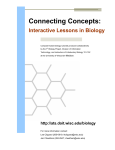 Instructors Manual - Connecting Concepts: Interactive Lessons in