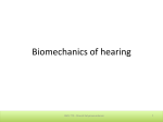Biomechanics of hearing
