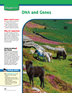 Chapter 11: DNA and Genes