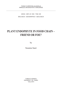 plant endophyte in food chain – friend or foe?