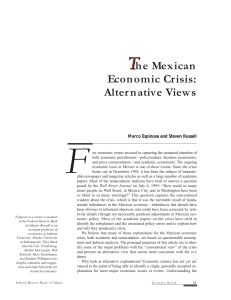 The Mexican Economic Crisis: Alternative Views