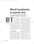Blood transfusions in anemic Pets