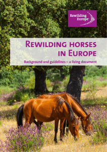 Rewilding horses in Europe : background and
