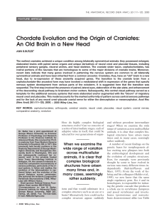Chordate evolution and the origin of craniates