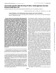 The UUAG-specific RNA Binding Protein, Heterogeneous Nuclear