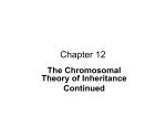 Lecture 9 Chromosomal Theory of Inheritance