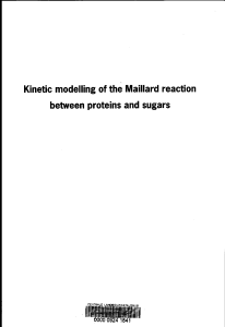 Kinetic modelling of the Maillard reaction between proteins and sugars