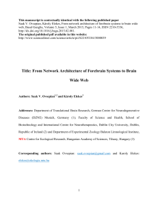 From Network Architecture of Forebrain Systems to Brain Wide Web