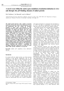 A novel exon within the mdm2 gene modulates translation