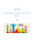 Business / Investment Opportunities in Brazil