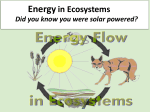 energy - TeacherWeb