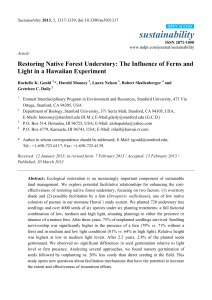 Restoring Native Forest Understory: The Influence of Ferns and