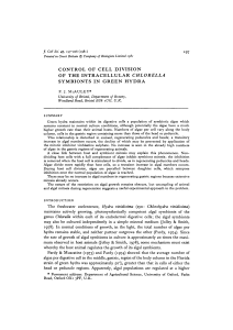 control of cell division of the intracellular chlorella symbionts in