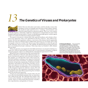 The Genetics of Viruses and Prokaryotes