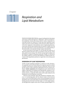 Respiration and Lipid Metabolism - Roberto Cezar | Fisiologista