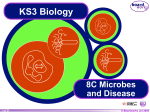 Microbes - KICS Learns