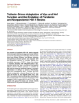 Tetherin-Driven Adaptation of Vpu and Nef Function and the