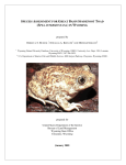 SPECIES ASSESSMENT FOR GREAT BASIN SPADEFOOT TOAD