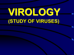 Properties of Viruses