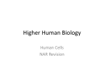 Unit 1 - Human Cells
