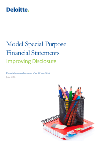 Model Special Purpose Financial Statements