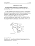 The Nitrogen Cycle