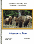 Grizzly Bear Conservation in the Yellowstone to Yukon
