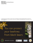 How To Protect Your Beehives From Black Bears