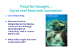 Coral reef scenario cards