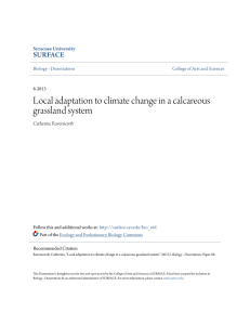 Local adaptation to climate change in a calcareous grassland system