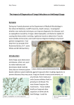 The Impact of Diagnostics of Fungal Infections on Antifungal Usage