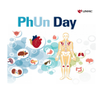 Downloadable PhUn Day Booklet