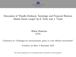 Marie Hoerova: Discussion of E. Farhi, J. Tirole, Deadly