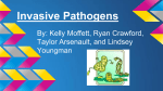 Invasive Pathogens