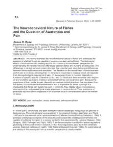 The Neurobehavioral Nature of Fishes and the