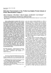 Molecular Characterisation of the 76 kDa Iron