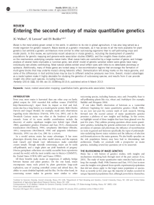 Entering the second century of maize quantitative genetics