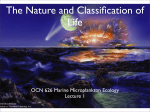 The Nature and Classification of Life