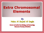 Extra Chromosomal Elements