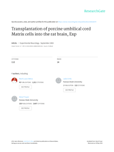 Transplantation of porcine umbilical cord Matrix cells