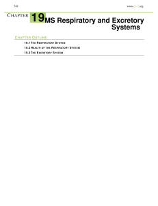 CHAPTER 19MS Respiratory and Excretory Systems