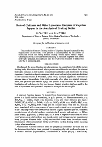 Role of Chitinase and Other Lysosomal Enzymes of