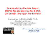 Neuroendocrine Prostate Cancer