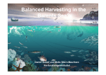 Balanced Harvesting in the Barents Sea?
